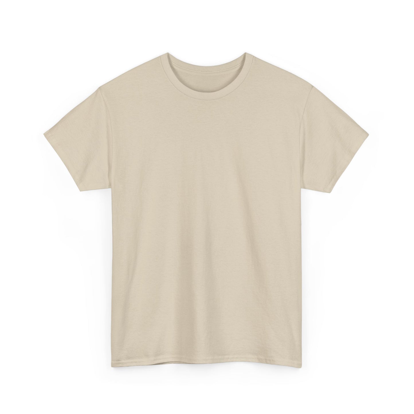 F-14 Tomcat T-Shirt back print