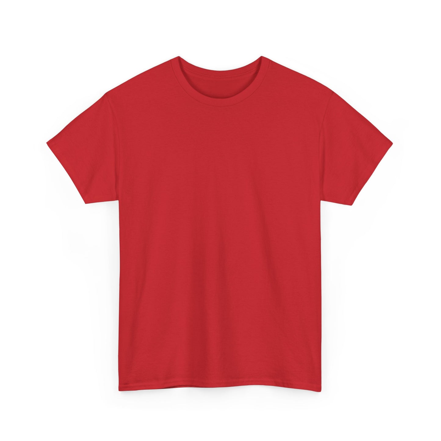 F-14 Tomcat T-Shirt back print