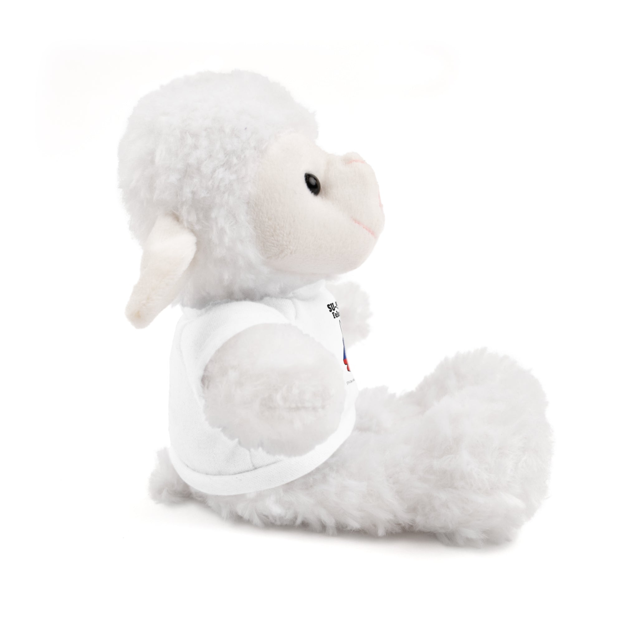 Customizable Stuffed Animal with T-Shirt